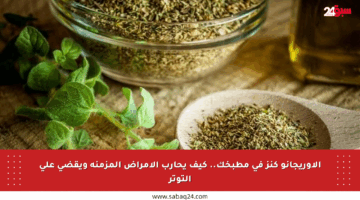 الأوريجانو كنز في مطبخك.. كيف يحارب الأمراض المزمنة ويقضي على التوتر